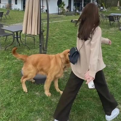 秋日邮局